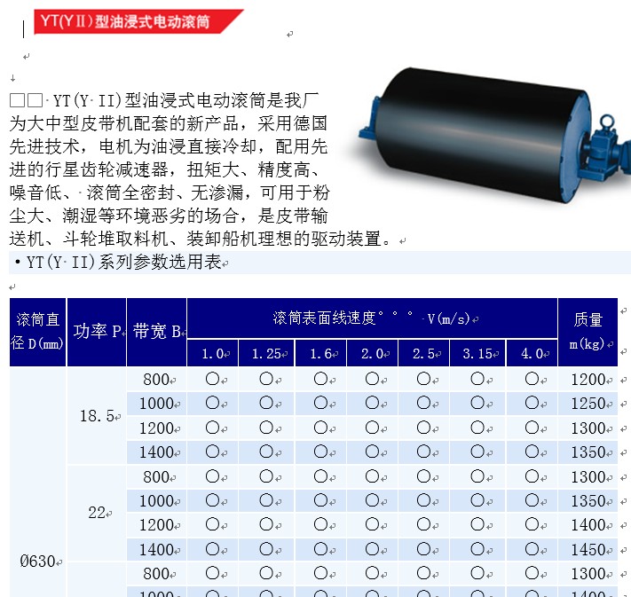 YT系列電動(dòng)滾筒